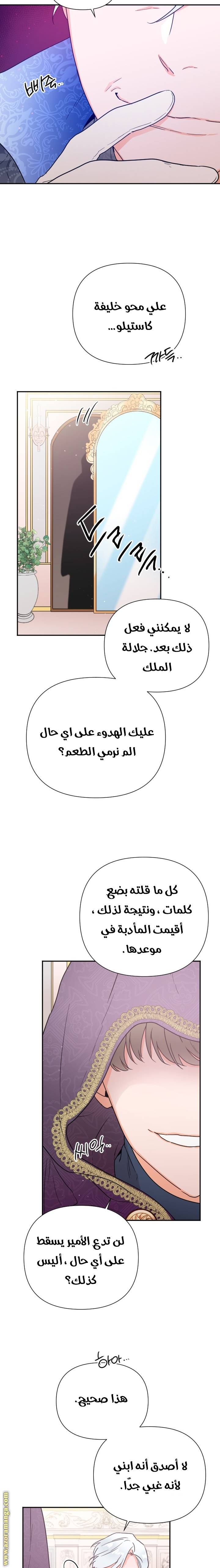 الصفحة 13