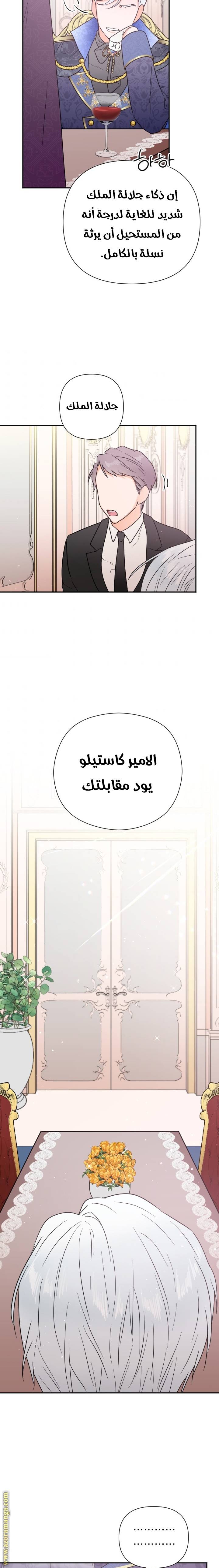 الصفحة 14