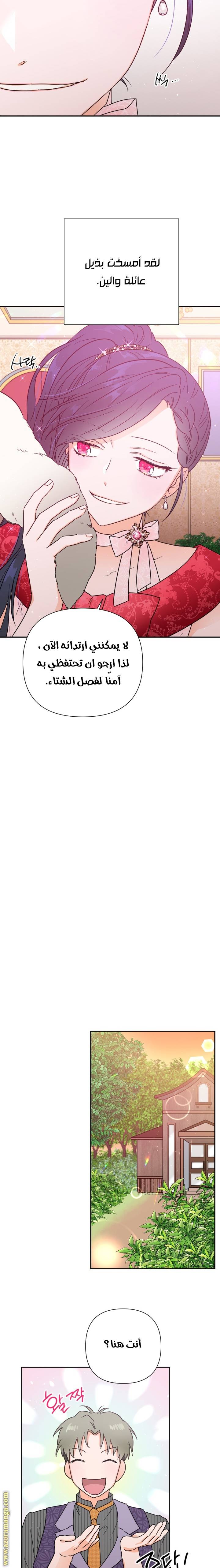 الصفحة 11