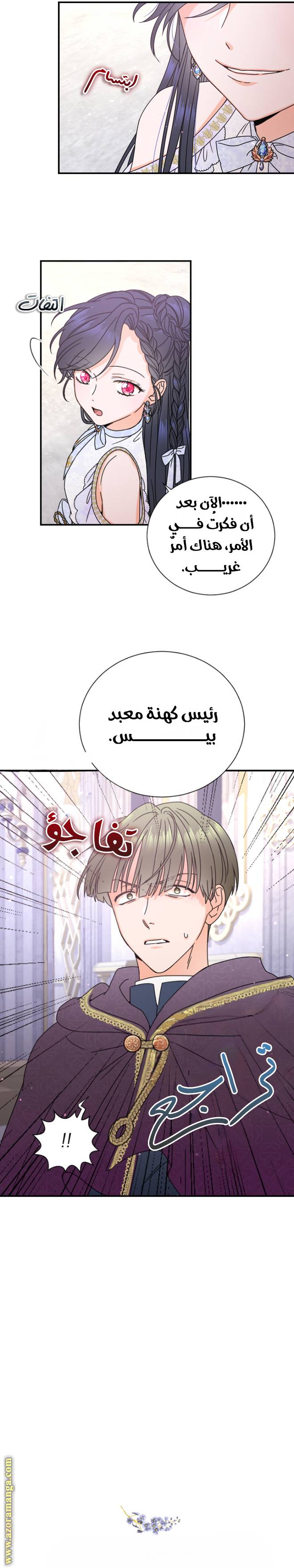 الصفحة 17