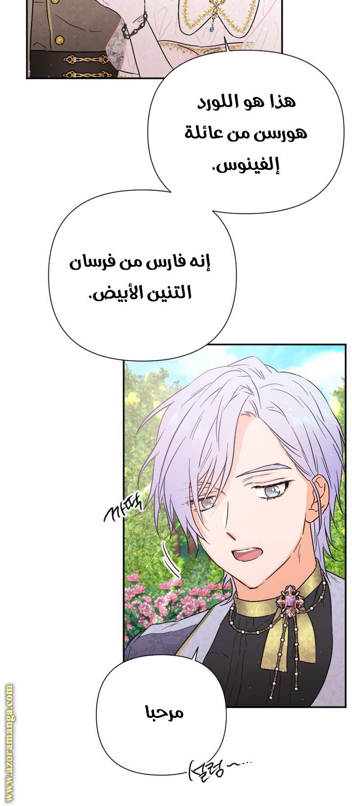 الصفحة 17