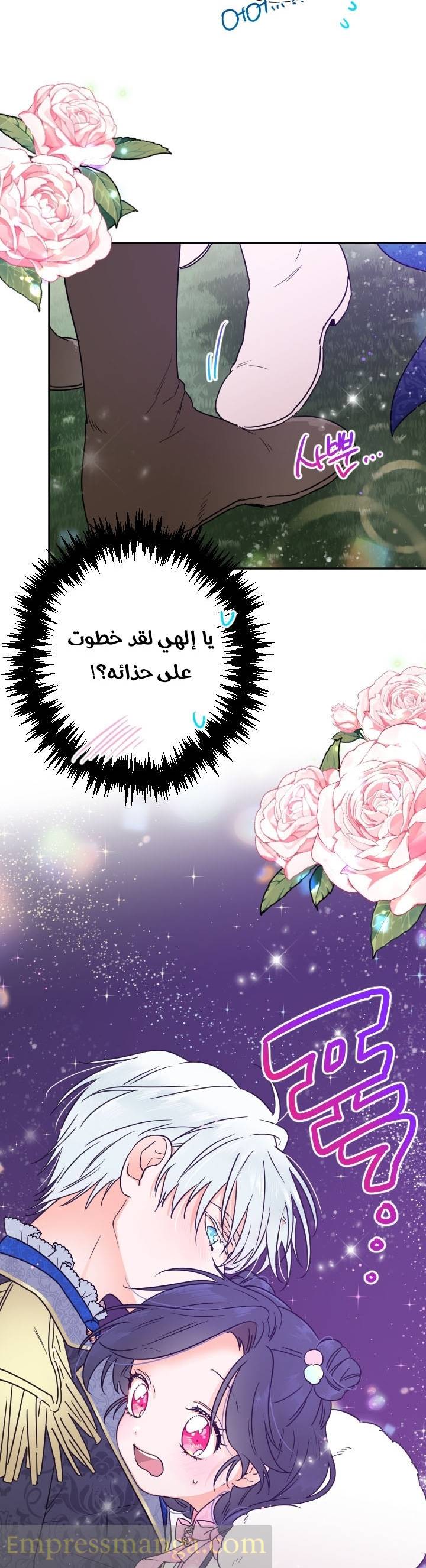 الصفحة 23