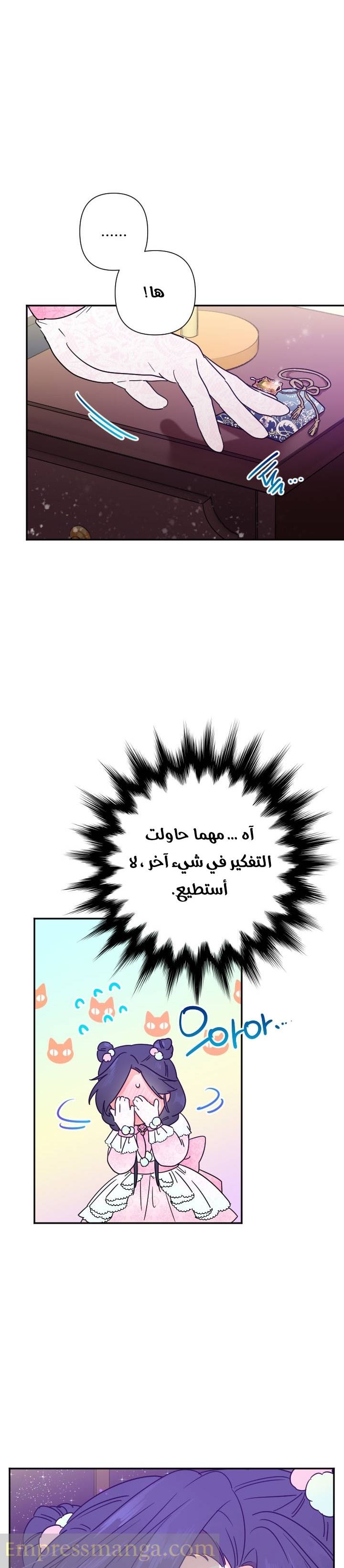 الصفحة 17