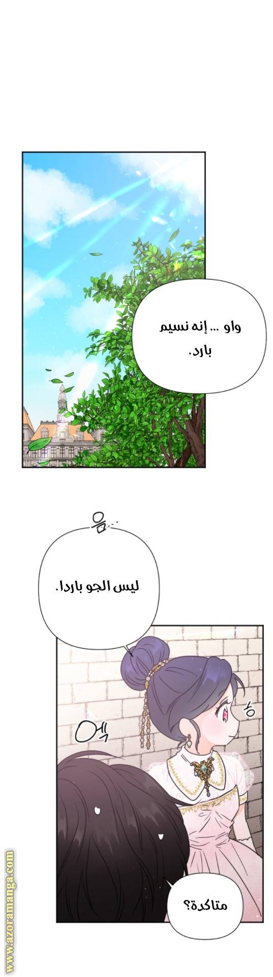 الصفحة 12