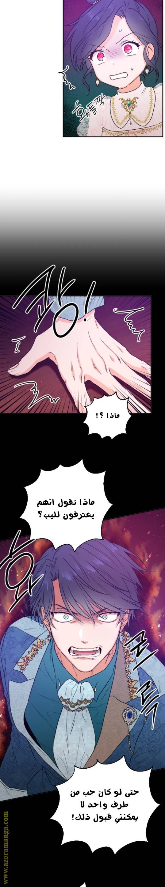 الصفحة 17