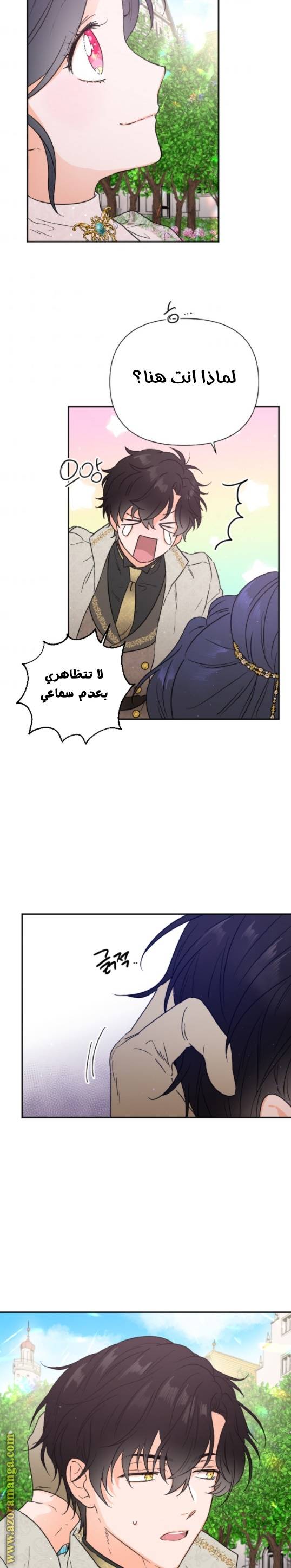 الصفحة 23