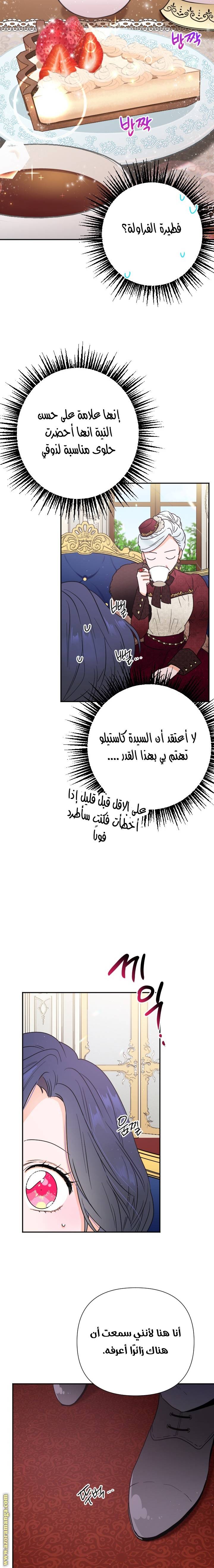 الصفحة 7