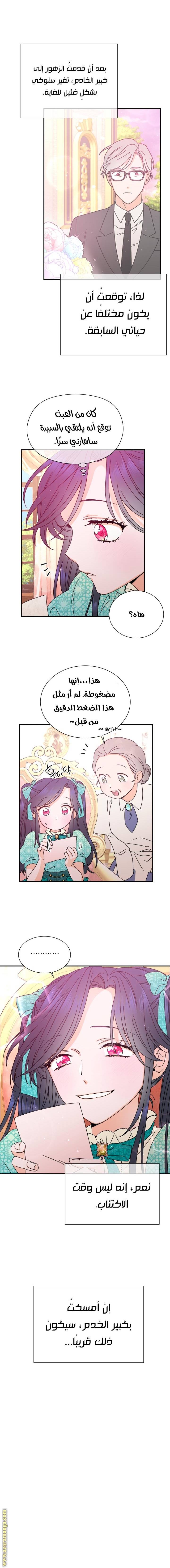 الصفحة 3