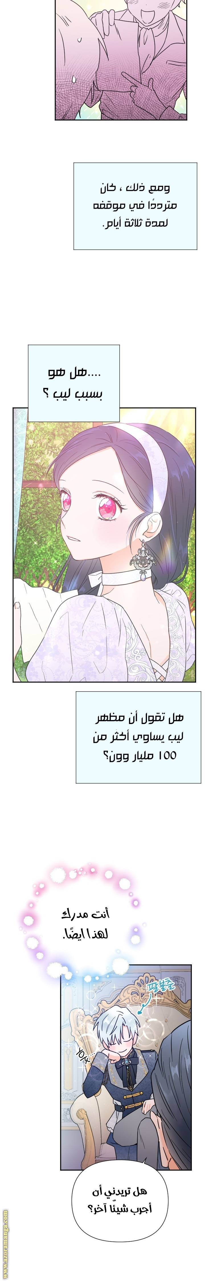 الصفحة 17