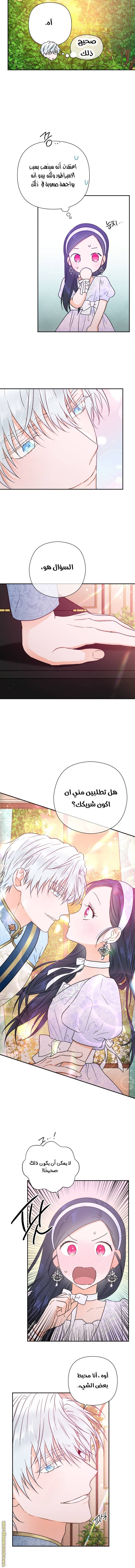 الصفحة 8