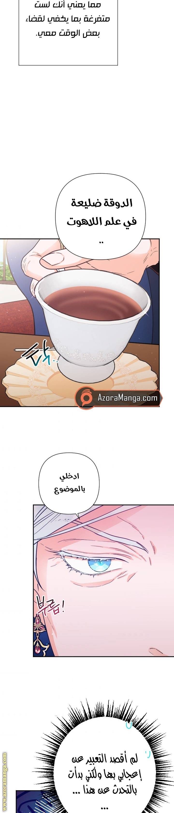 الصفحة 13