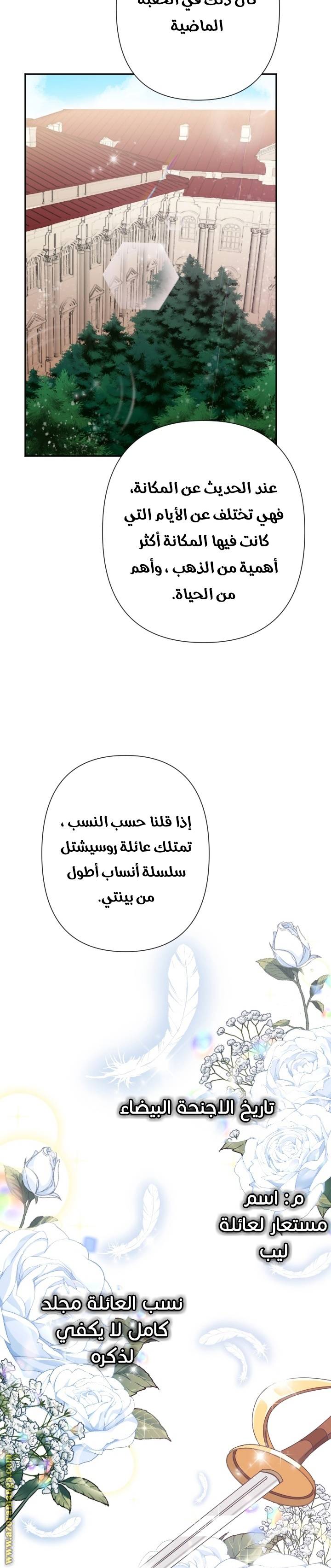 الصفحة 13