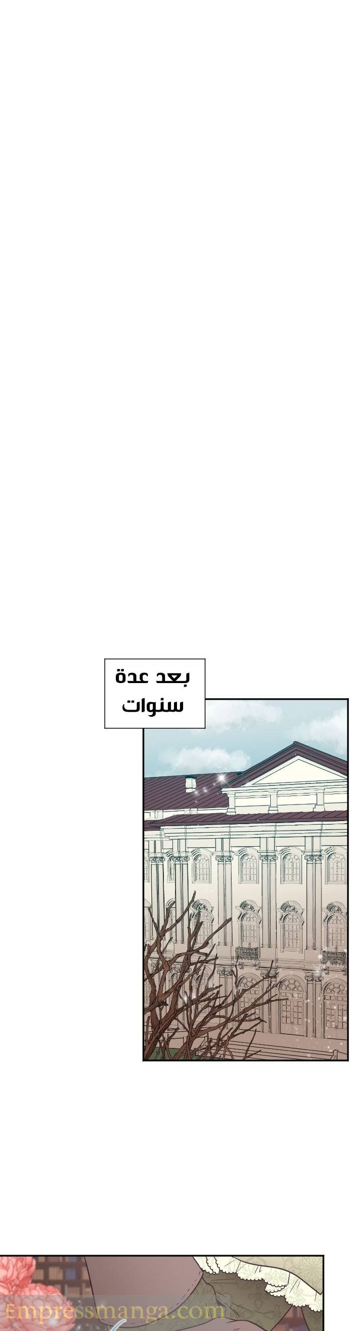 الصفحة 20