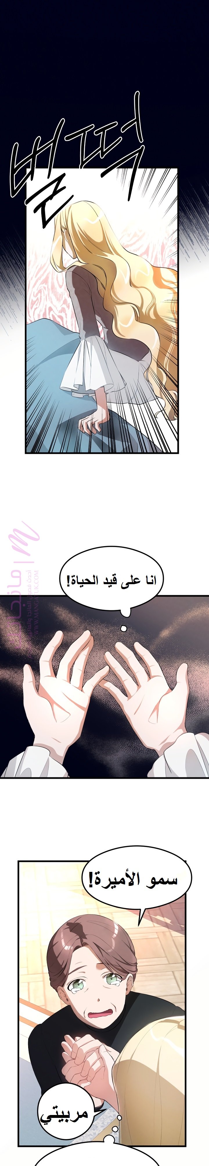 الصفحة 24