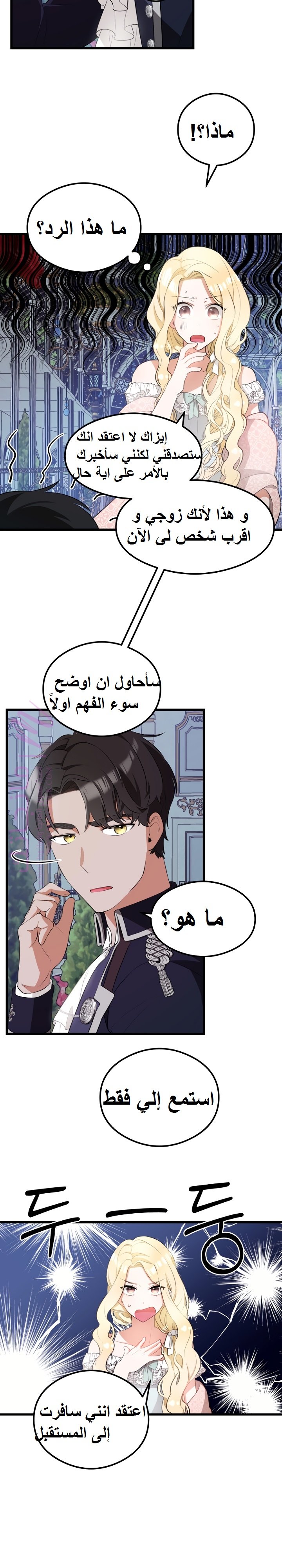 الصفحة 17