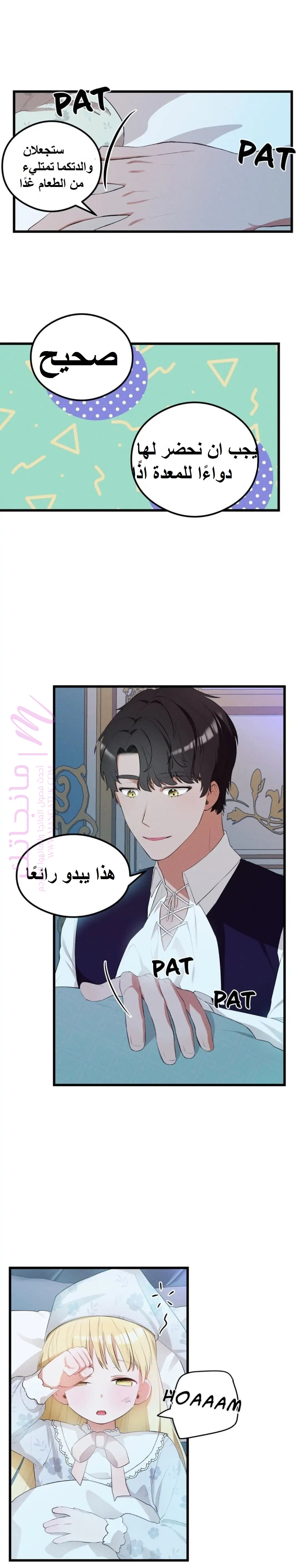 الصفحة 13