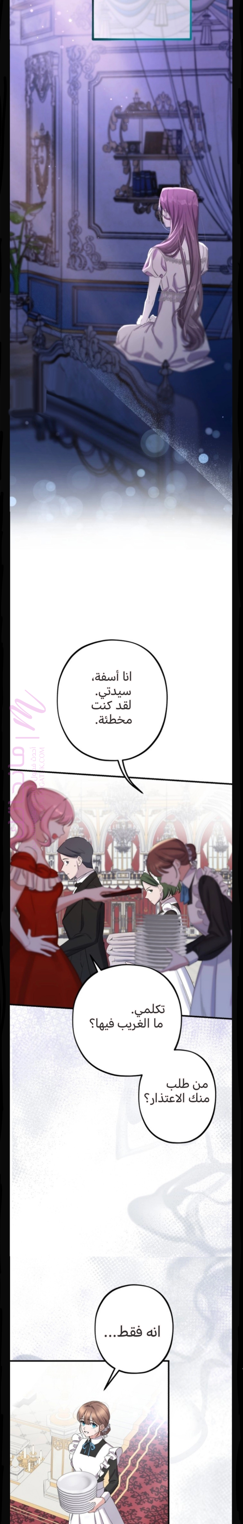 الصفحة 17