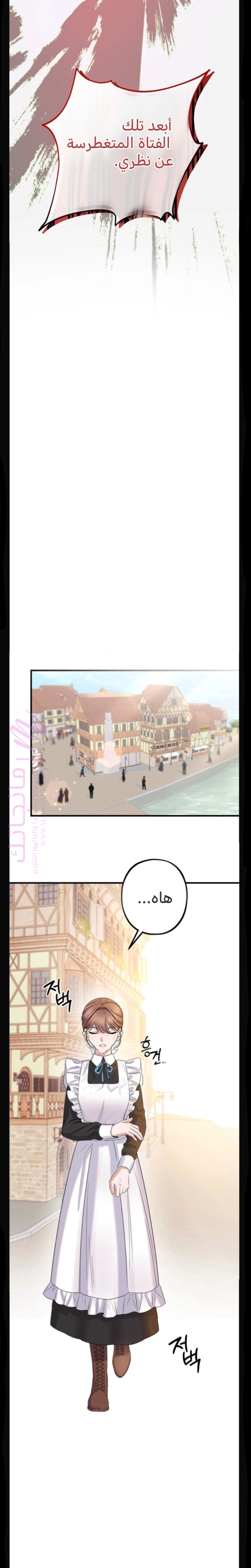 الصفحة 19