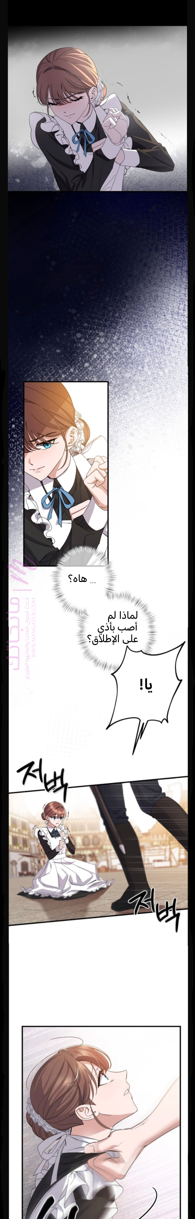 الصفحة 26