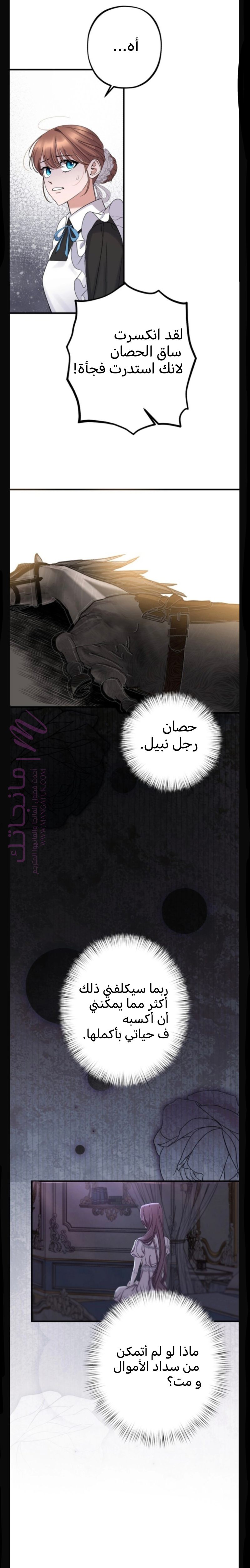 الصفحة 29