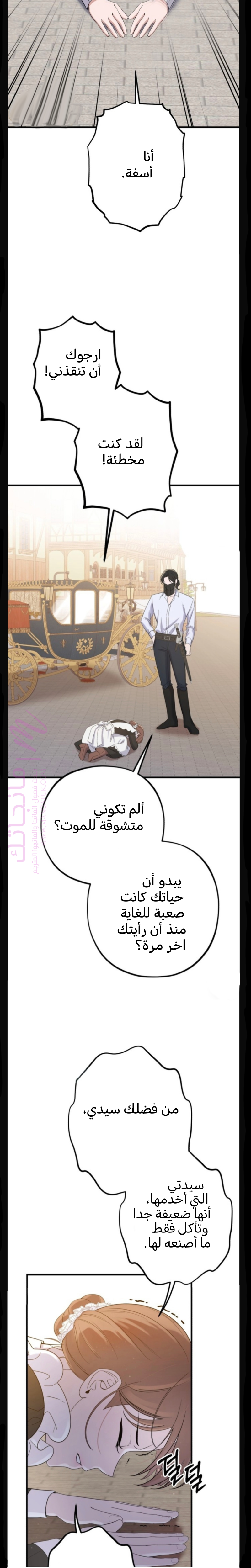 الصفحة 31