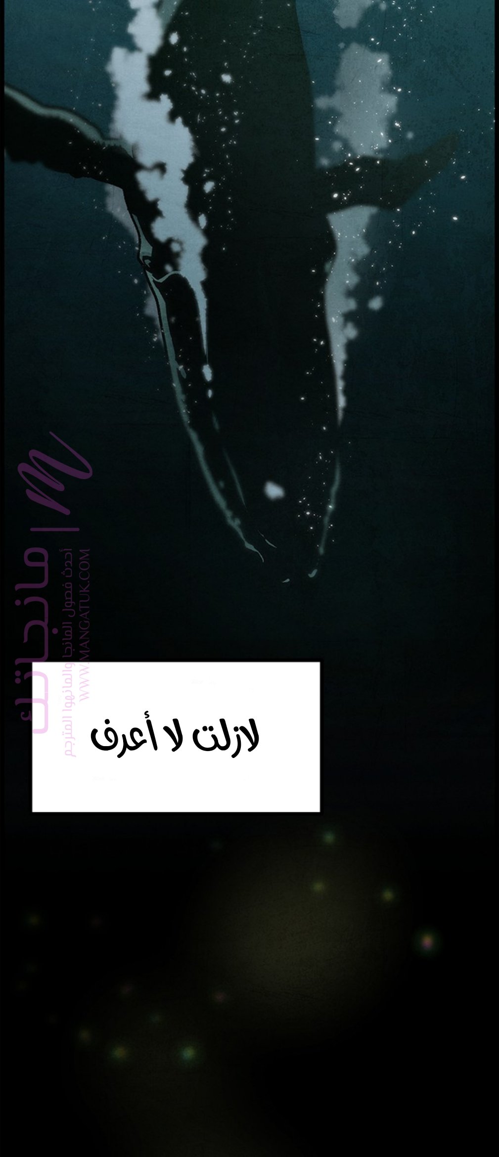 الصفحة 39
