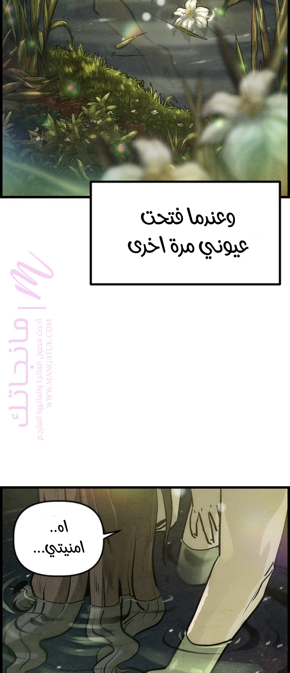 الصفحة 42