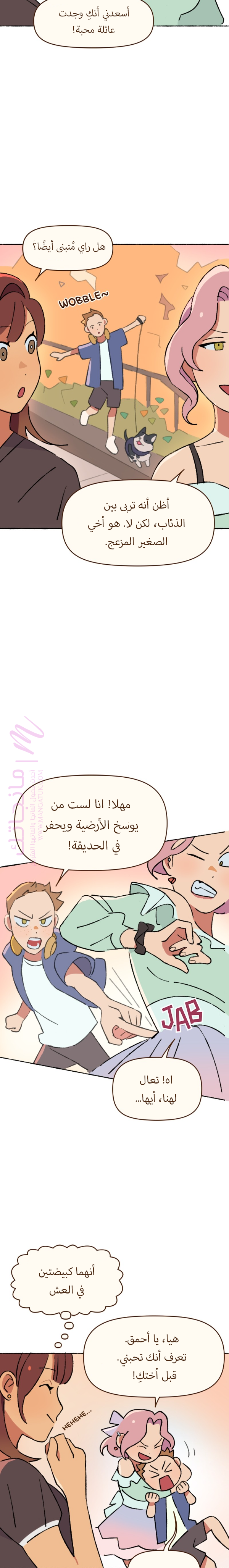 الصفحة 17