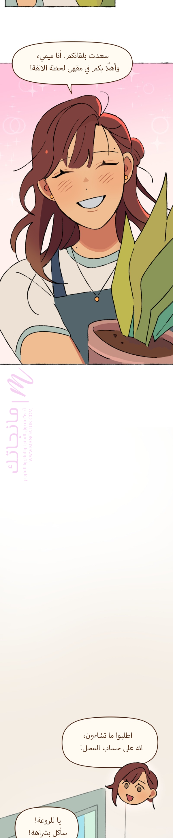 الصفحة 17