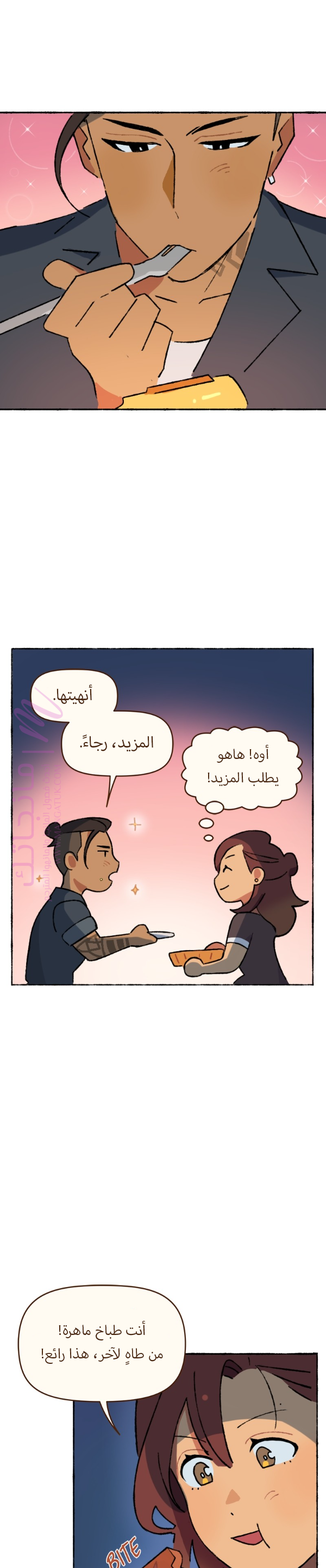الصفحة 17