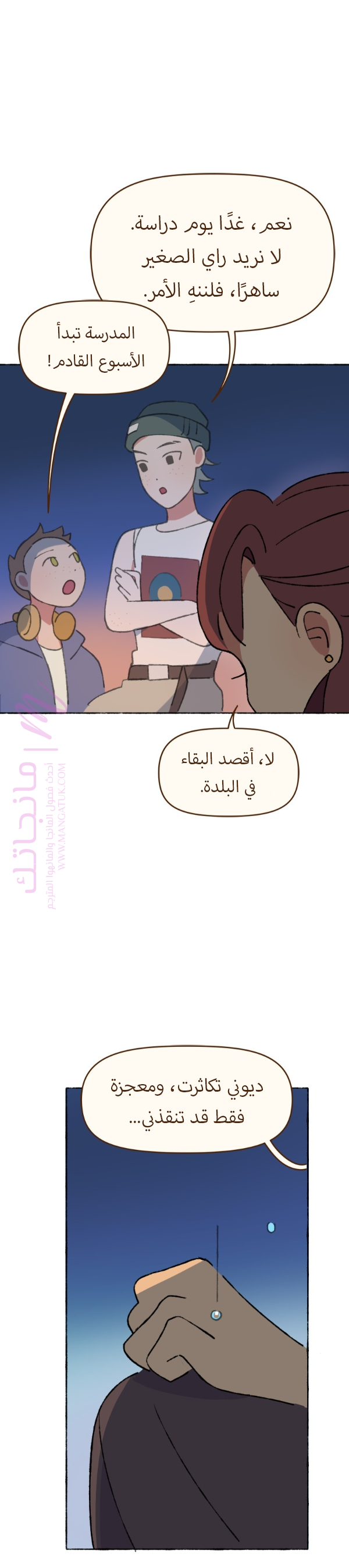 الصفحة 29