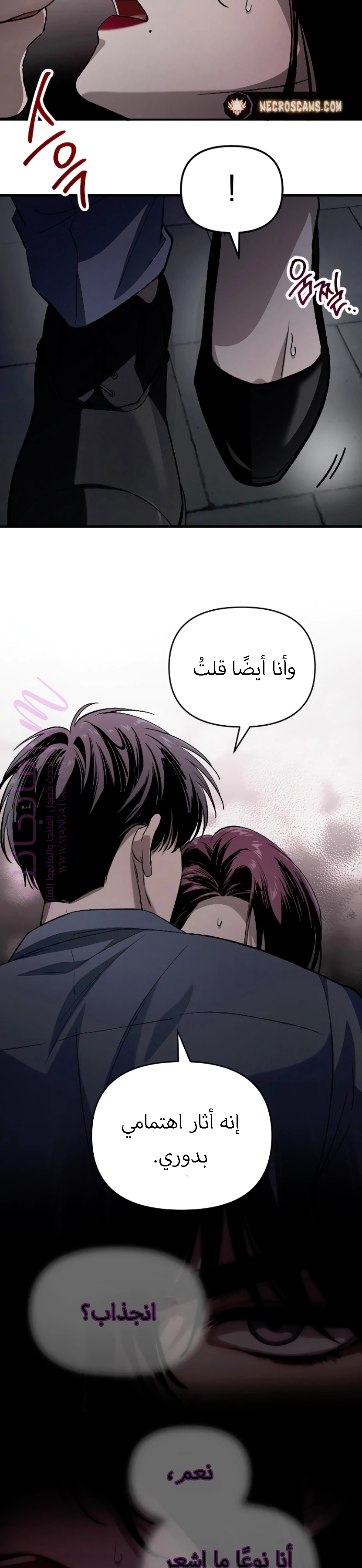 الصفحة 31