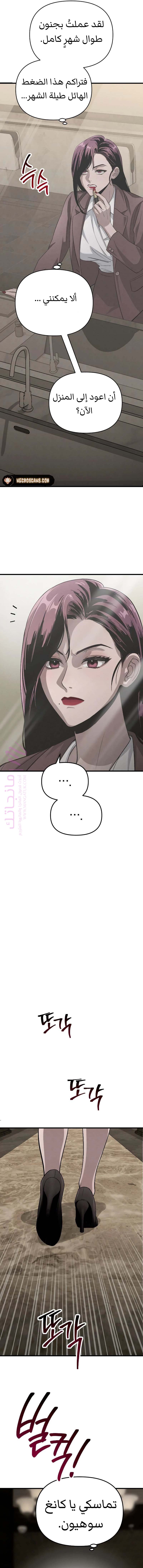 الصفحة 13