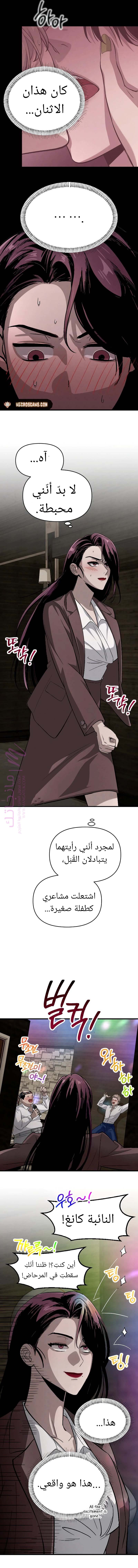 الصفحة 20