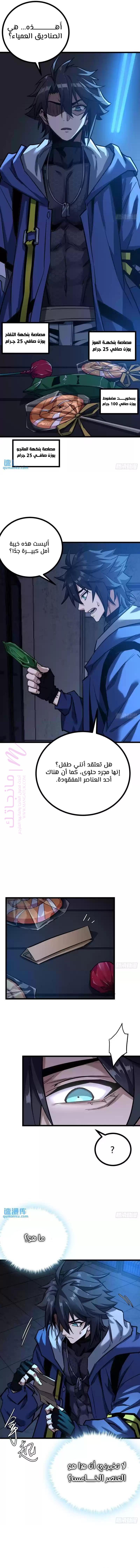 الصفحة 13