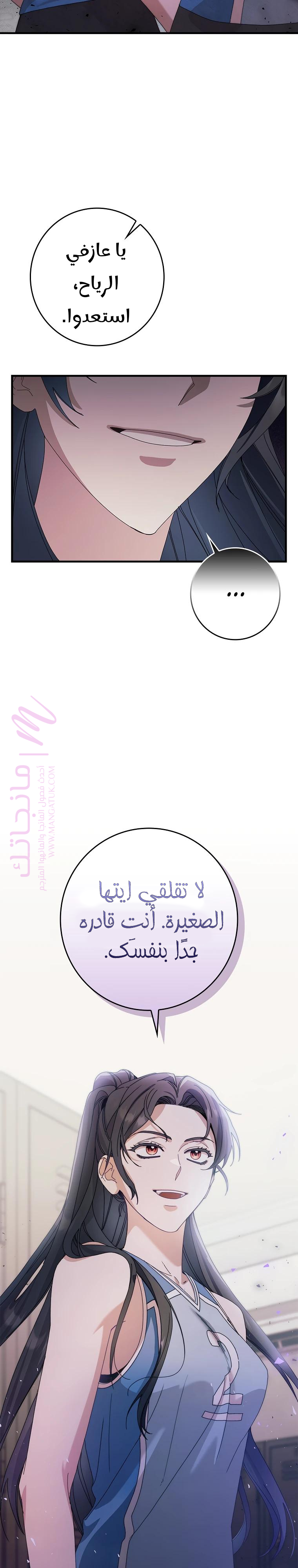 الصفحة 17