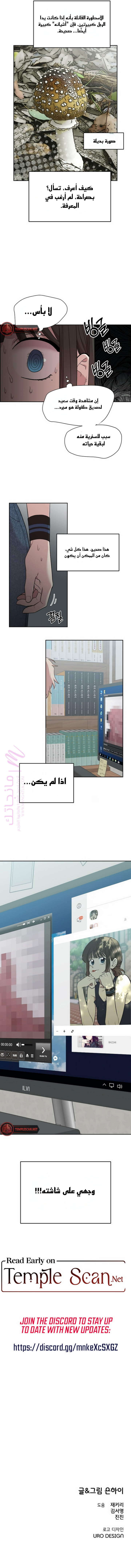 الصفحة 17