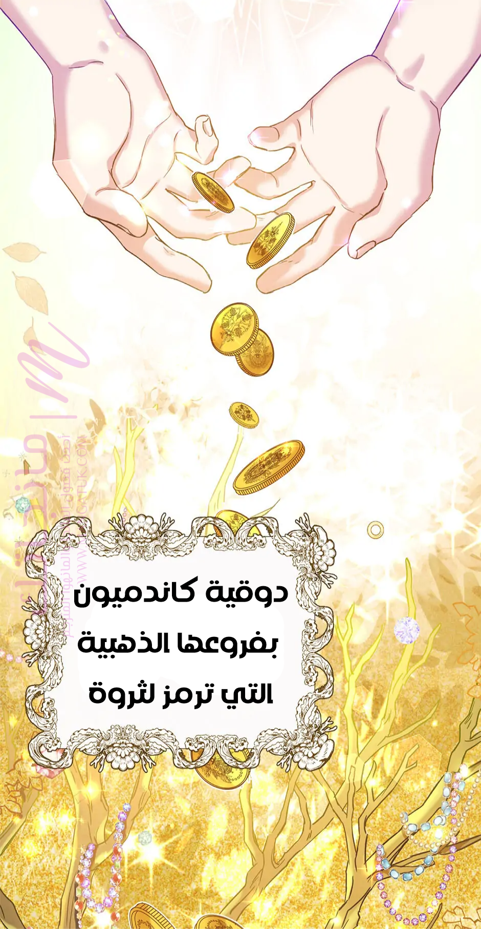 الصفحة 20