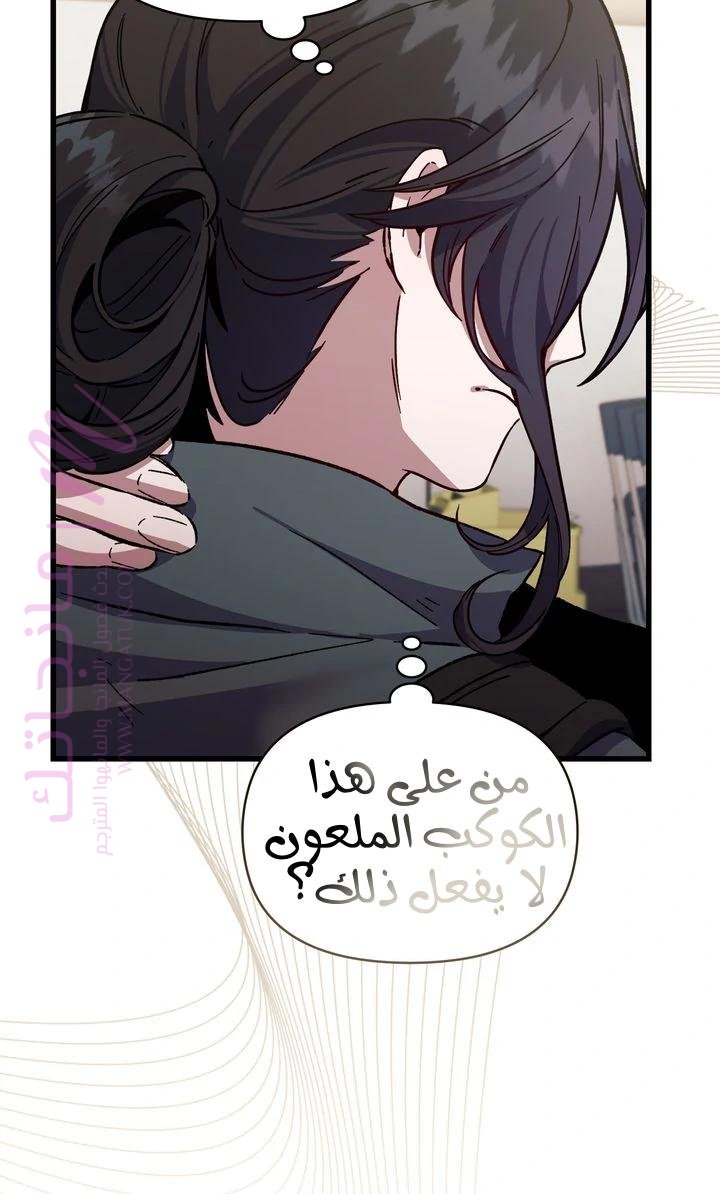 الصفحة 42