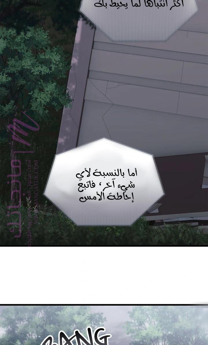 الصفحة 81
