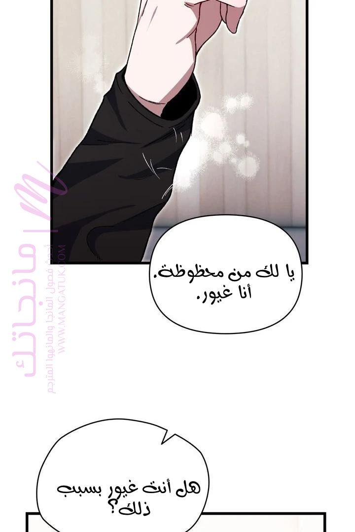 الصفحة 38