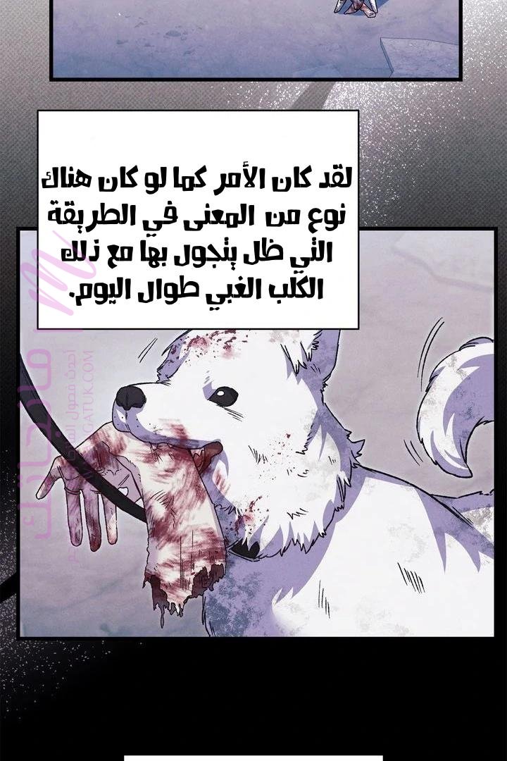الصفحة 44