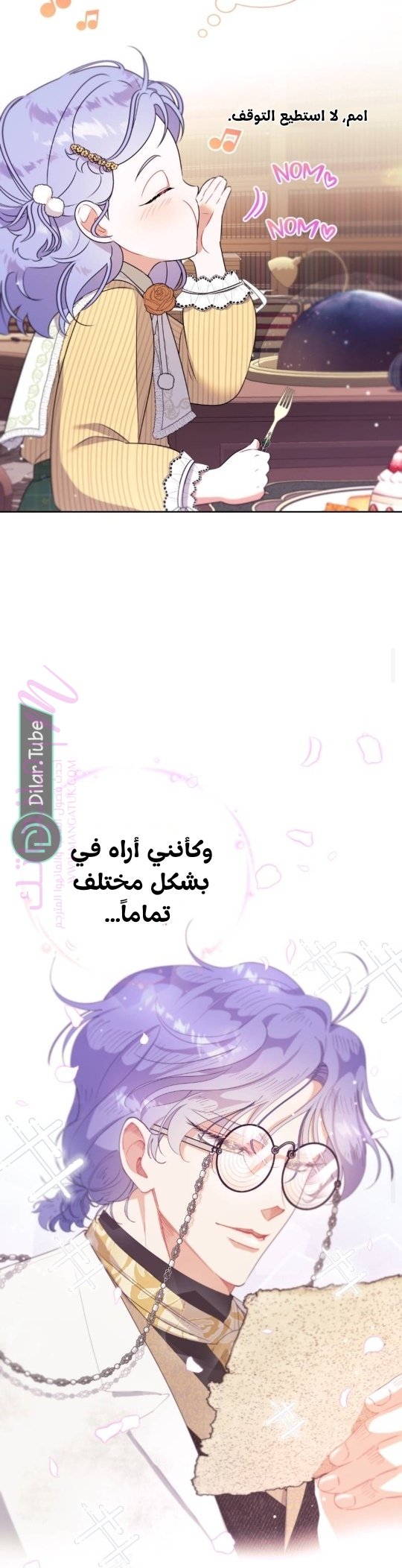 الصفحة 41