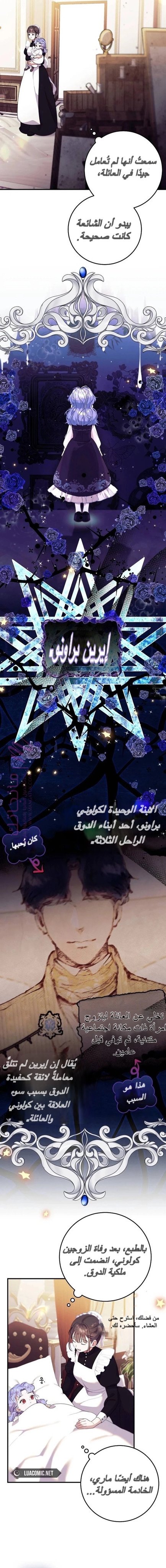 الصفحة 20
