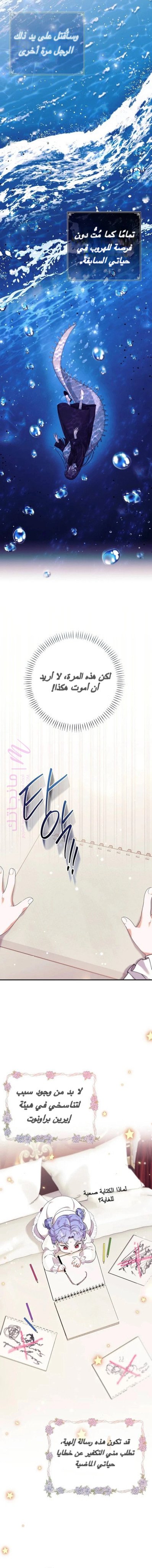 الصفحة 25