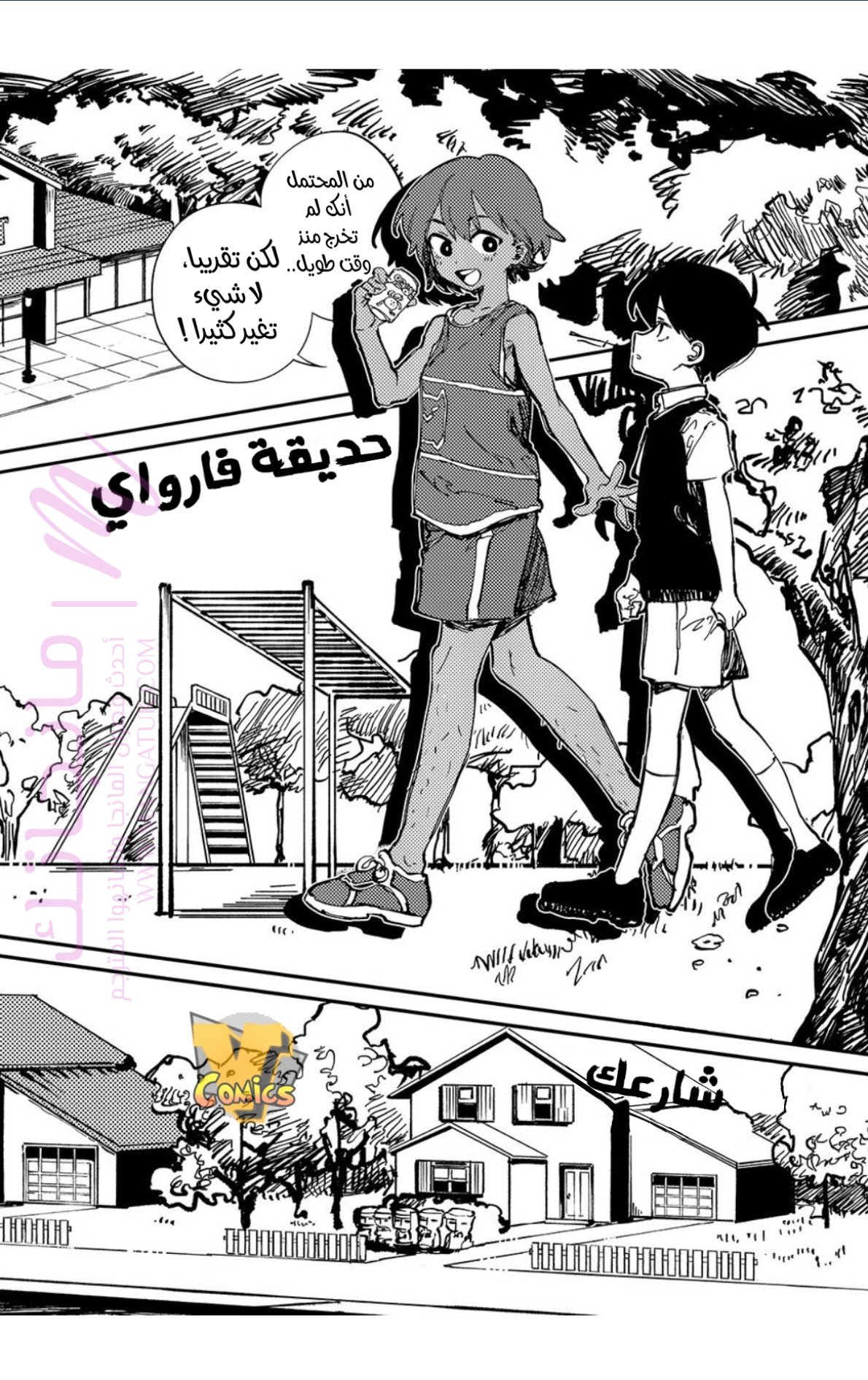 الصفحة 19