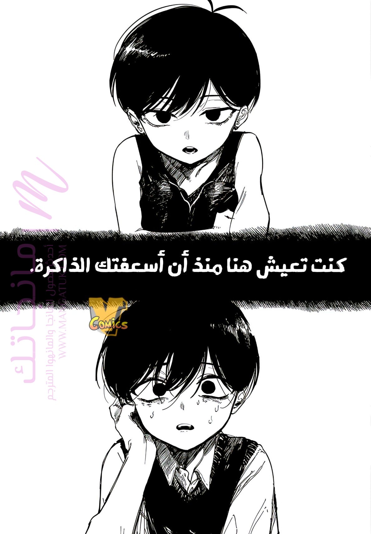 الصفحة 41
