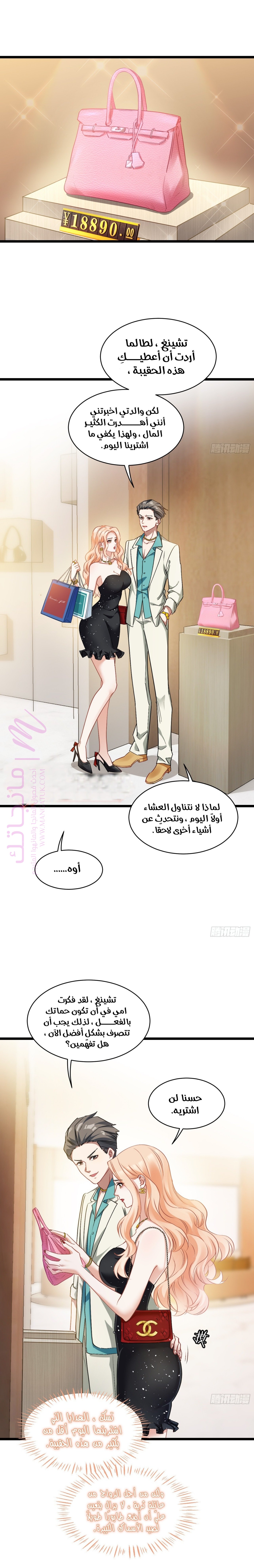 الصفحة 17