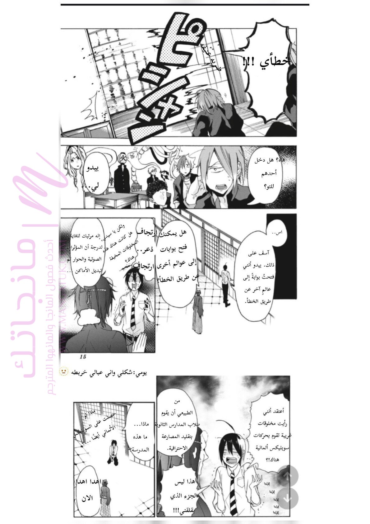 الصفحة 13