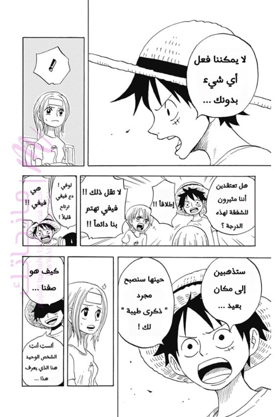 الصفحة 17